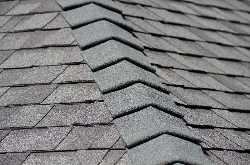 Expert asphalt shingle repair