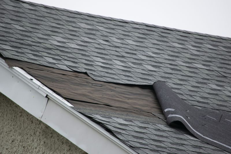 Shingle patching process
